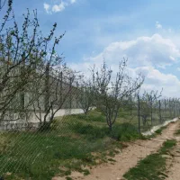 فروش-باغ-در-پسته-بیگ-نزدیک-به-شهرک