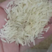 برنج طبیعت 2100