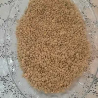 عدس امسالی