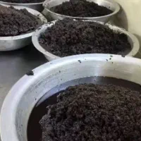 سبزی خردکنی ژیکال