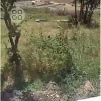 معاوضه 400مترزمین با خودرو درکجورروستای گندسکلا