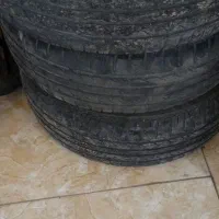لاستیک ساینا