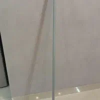 جارو سالنی
