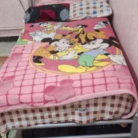 تخت فلزی نو