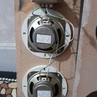 ۵عدد باند