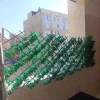 برگ فنس آکاردئونی سبز