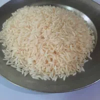 برنج هاشمی سورتینگ زده