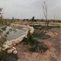 باغچه-فول-با-سند-تک-برگ