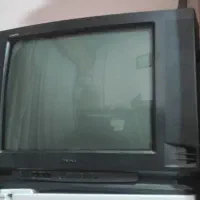 تلویزیون