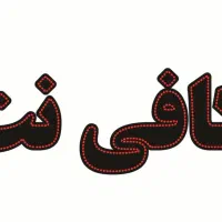 همکار خانم در کافی نت