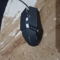 موس و کیبورد