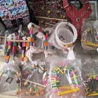 انواع سرلاک و مکمل و ملزومات پرندگان طوطی عروس