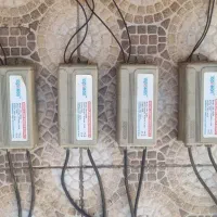 ترانس نعون