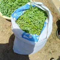 غوره