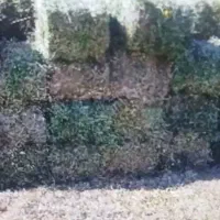 علف بسته بندی یونجه وخشه پرس شده