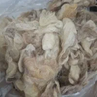 پشم گوسفندی