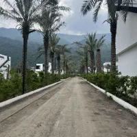 زمین ۳۸۷ متر در شهرک مدرن با سند تکبرگ