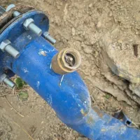 شراکت در تاسیس گلخانه
