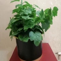 گل مصنوعی