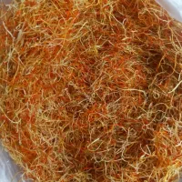 ریشه زعفران پر سرخ