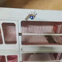 قفس دو طبقه و سه طبقه|لوازم جانبی حیوانات|ملارد, |دیوار