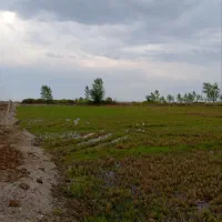 زمینی به مساحت ۴۰۰۰ متر فروشی به قیمت مناسب