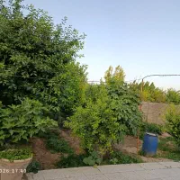 باغ