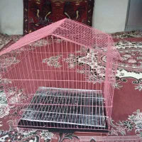 قفس پرنده