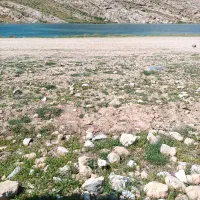 زمین