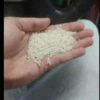 فروش برنج دم سیاه اصل