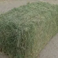 بیده دست پیچ وپرس