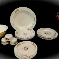 ظروف آرکوپال ویکتوریا لومینارک اصل فرانسه فیل آبی