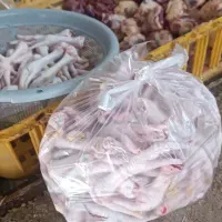 مرغ کیلو 320 حراج
