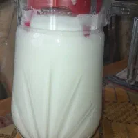 دوغ گوسفندی تازه