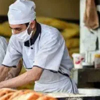 شاطر ماهر  نیازمندم