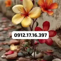 0912.17.16.397 فوق‌العاده زیبا