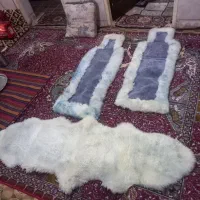 پشم ای|کفش و لباس بچه|آبادان, |دیوار