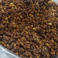 توت خشک|عمده‌فروشی|سنندج, |دیوار