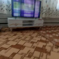 تلویزیون
