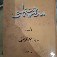 کتاب مدینه شناسی محمد باقر نجفی جلد ۲