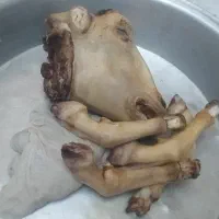 کله پاچه