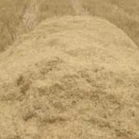 کاه گندم