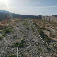هزار-متر-زمین-ارغش