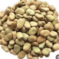 باقله خشک شده
