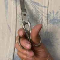 قیچی