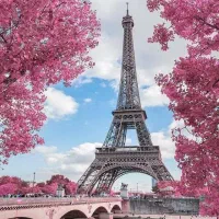 آموزش زبان فرانسه به کودکان