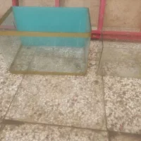آکواریوم بزرگ و‌کوچک
