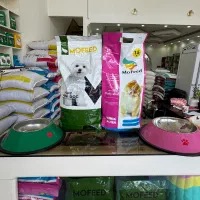 غذای خشک سگ