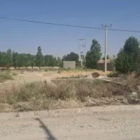 زمین مسکونی