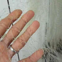 سلیه..تورماهی گیری